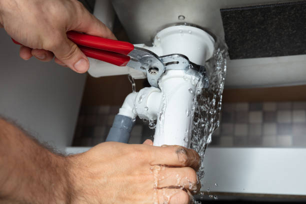 Best Water damage contractors near me  in Paul, ID