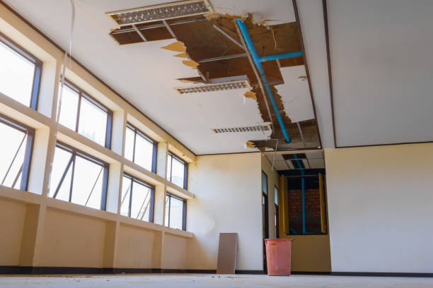 Best Basement water damage restoration  in Paul, ID