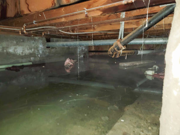 Best Emergency water damage restoration  in Paul, ID
