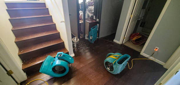 Best Carpet water damage restoration  in Paul, ID