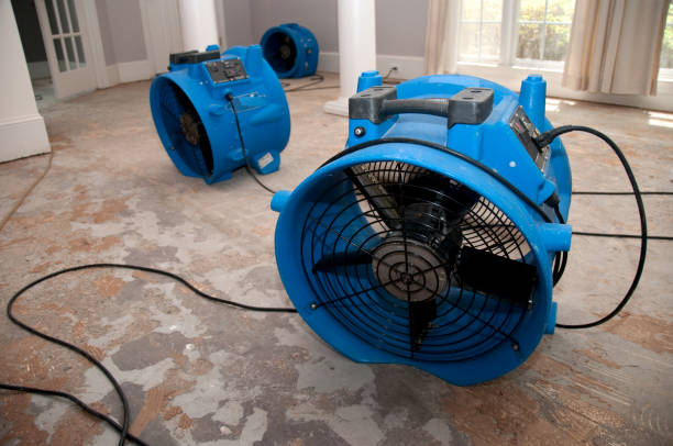 Best Commercial water damage restoration  in Paul, ID