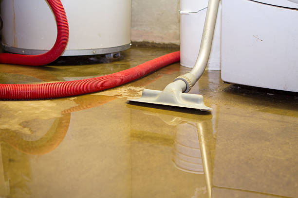 Best Ceiling water damage repair  in Paul, ID