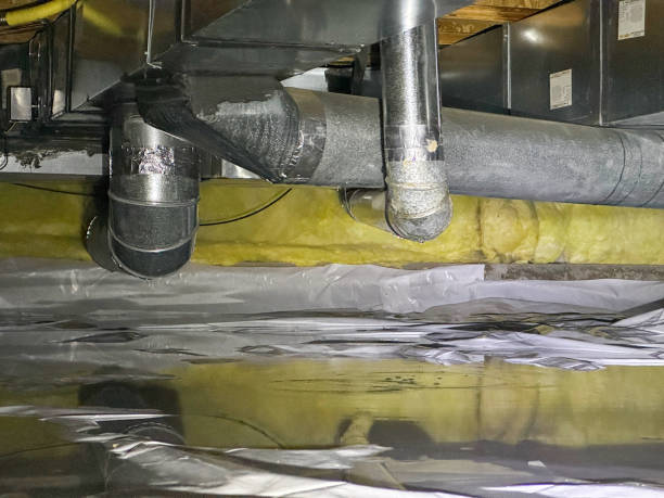 Best Professional water damage repair  in Paul, ID