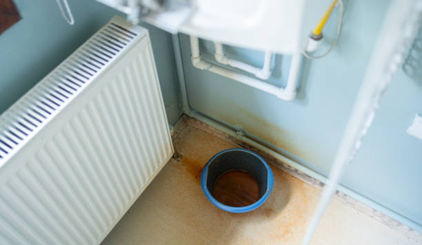 Best Water damage restoration near me  in Paul, ID