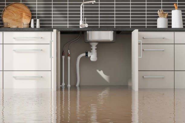 Best Local water damage restoration  in Paul, ID