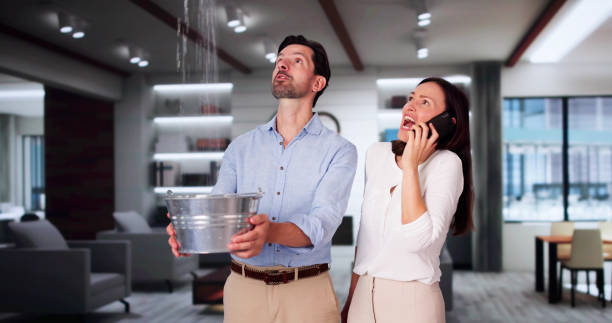 Best Water damage restoration experts  in Paul, ID