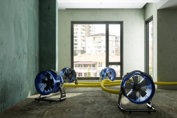 Best Commercial water damage restoration  in Paul, ID